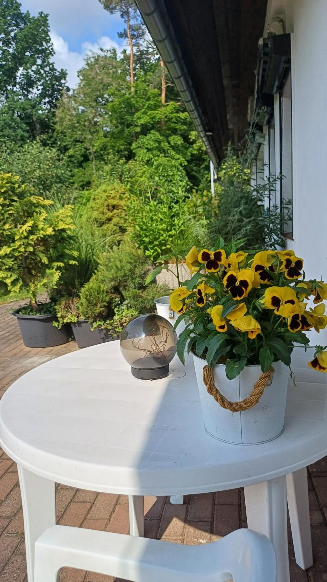 Pension Mark Gasthof Hoyerswerda